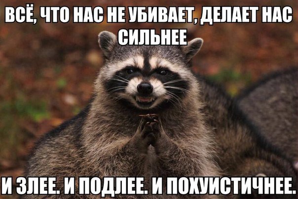 немного картинок