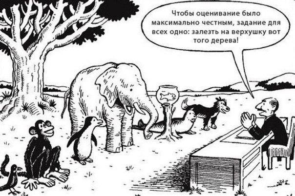 немного картинок