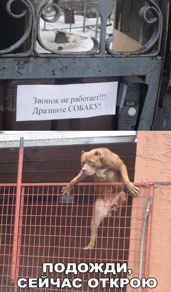 немного картинок