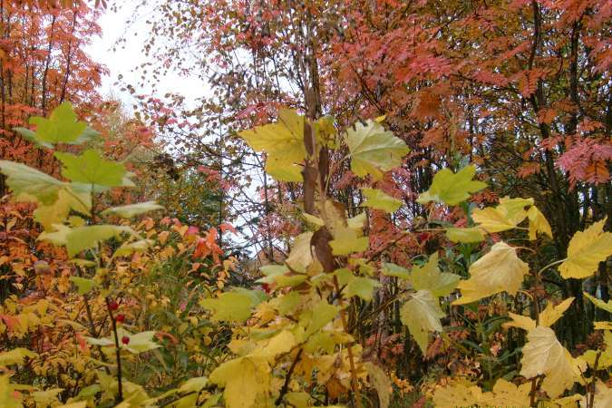 Красноярцев ждет похолодание