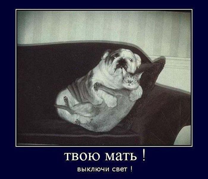 Демотиваторы