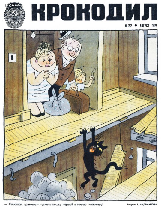 немного картинок