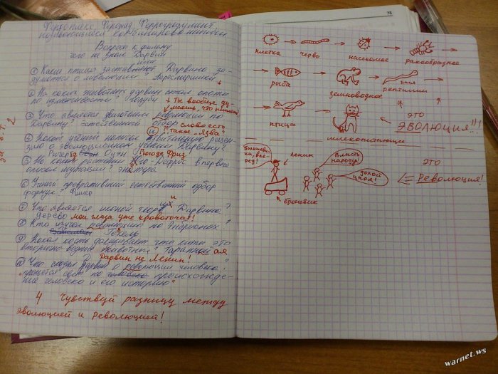 немного картинок