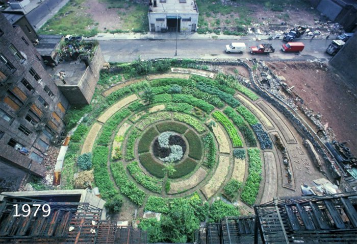 Адам Фиолетовый (Adam Purple)