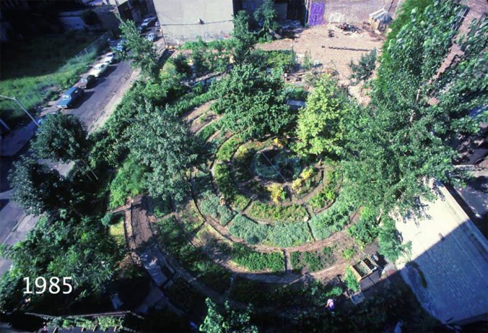 Адам Фиолетовый (Adam Purple)