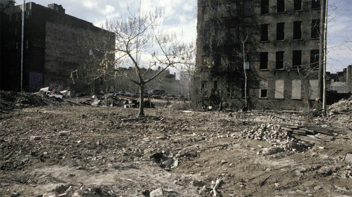 Адам Фиолетовый (Adam Purple)