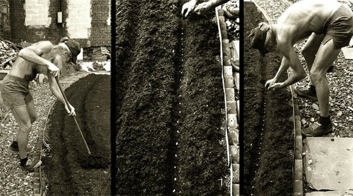 Адам Фиолетовый (Adam Purple)