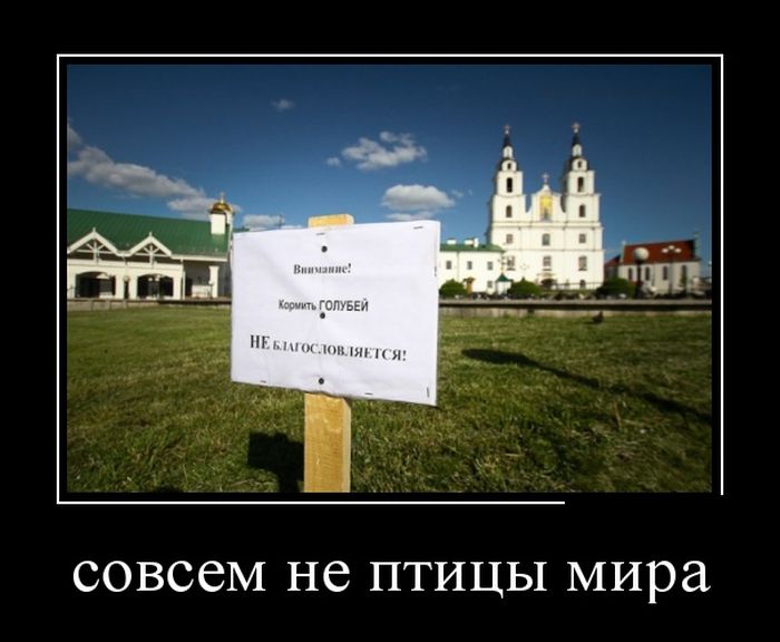 Демотиваторы