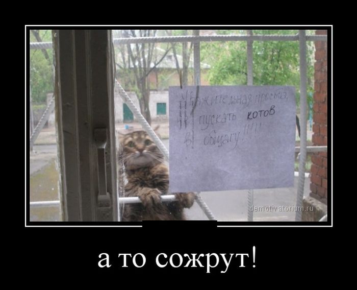 Демотиваторы