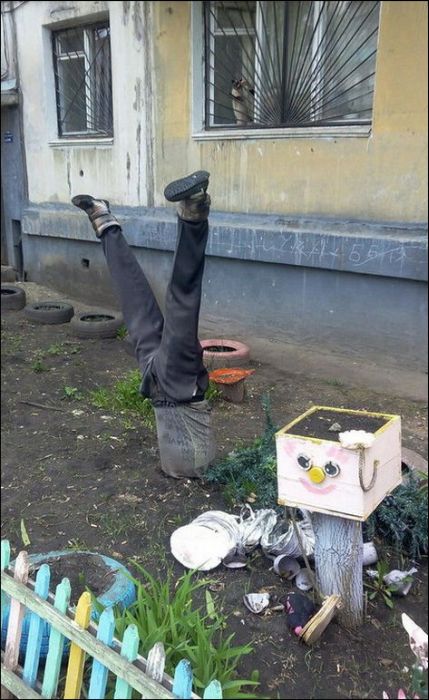 Адские твари расползаются по дворам