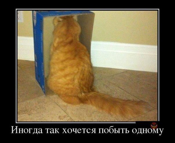 Картинки на разные темы