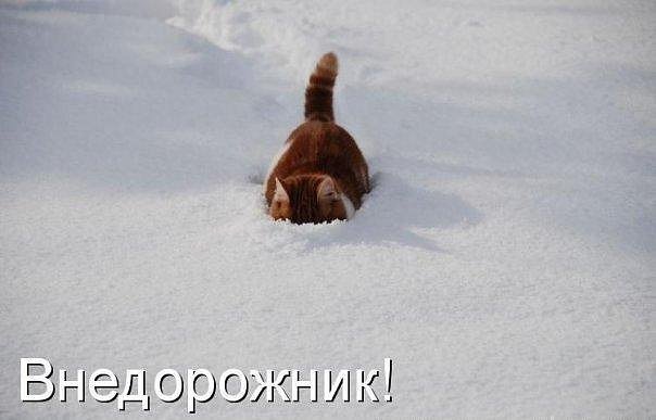 Картинки на разные темы