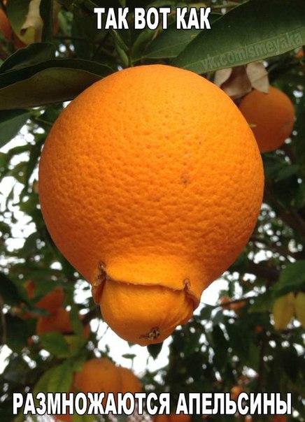 Картинки на разные темы