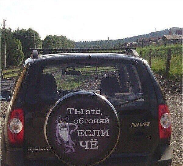 Картинки на разные темы