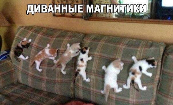 Картинки на разные темы