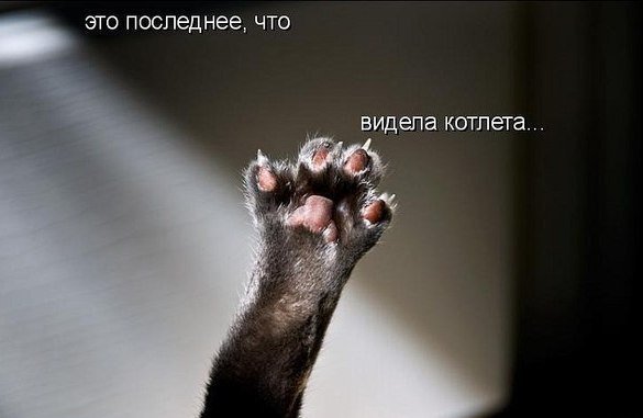 Картинки на разные темы