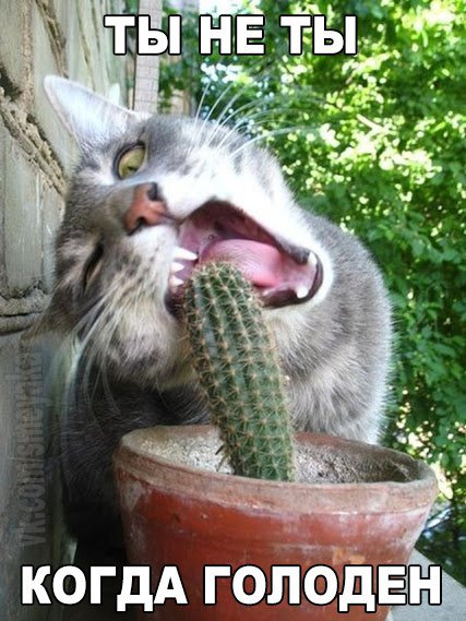 Картинки на разные темы