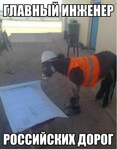 Картинки на разные темы