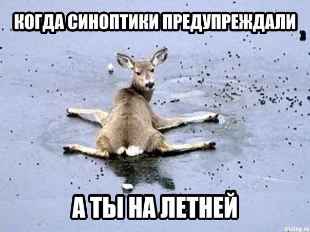 Картинки на разные темы