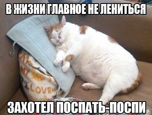 Картинки на разные темы