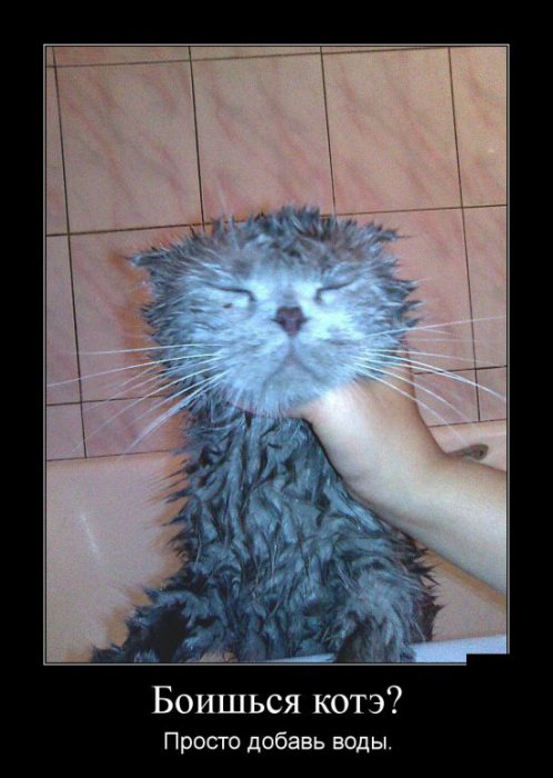 Демотиваторы