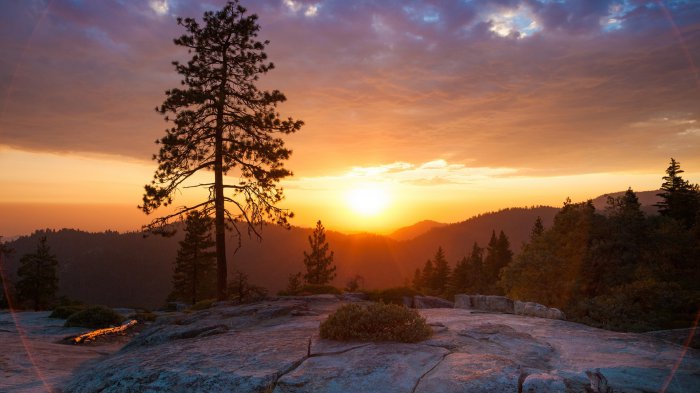 Обои на рабочий стол / MixWallpapers 2111 