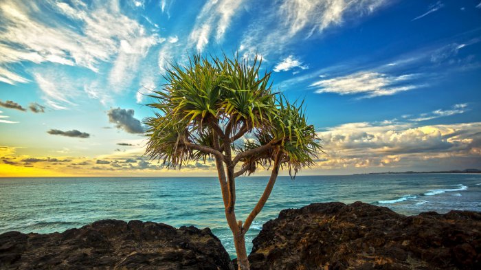 Обои на рабочий стол / MixWallpapers 2111 