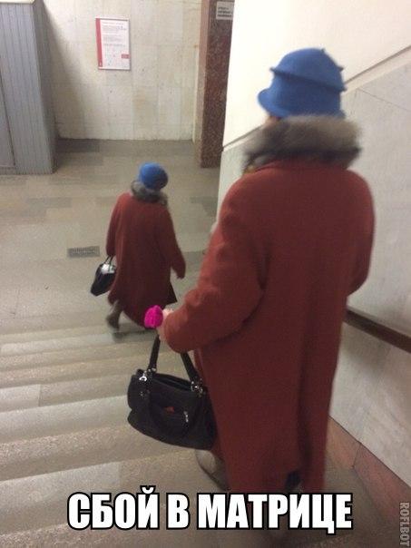 Порция картинок