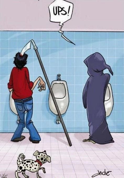 Порция картинок