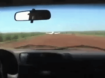 Порция картинок