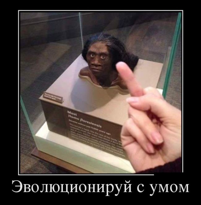 Демотиваторы