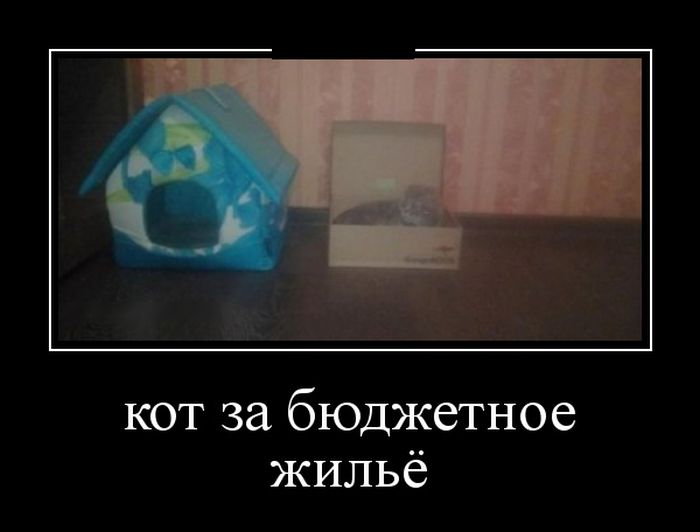 Демотиваторы