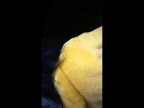 И "Оскар" получает Широбокова Мария Петровна!