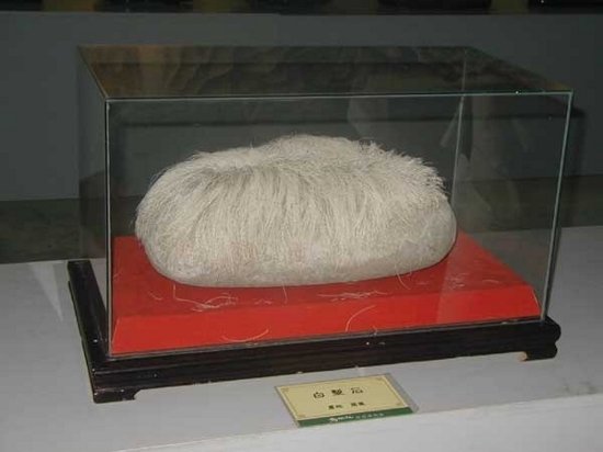 А вы знали что...