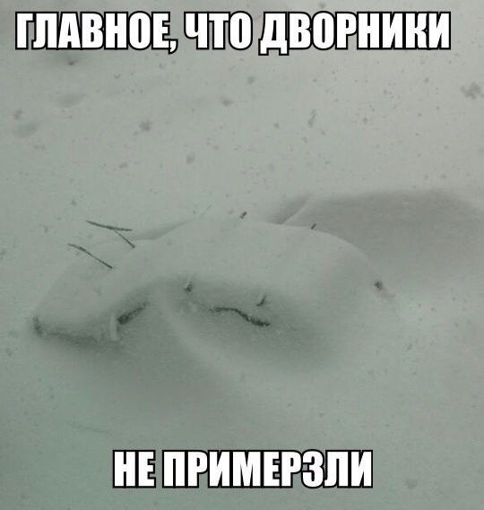 Автоприколы