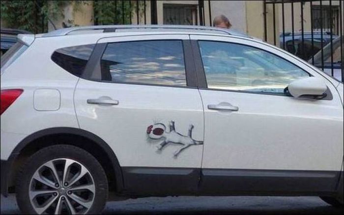 Забавные картинки