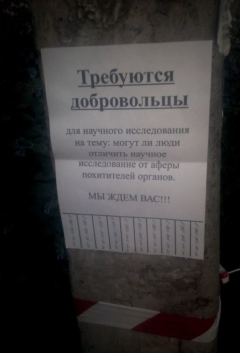 Порция картинок