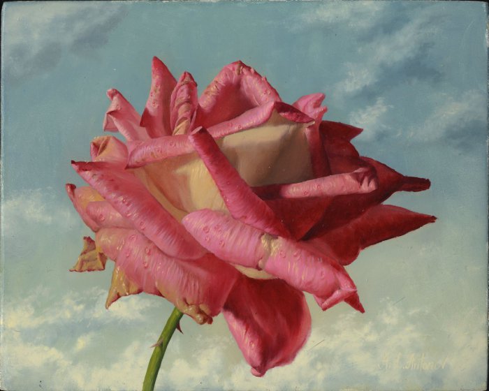 Рисует Алексей Антонов