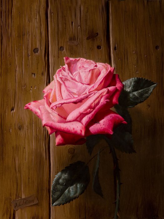 Рисует Алексей Антонов