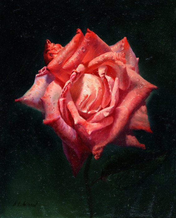 Рисует Алексей Антонов