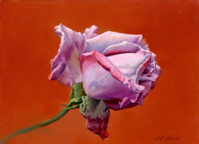 Рисует Алексей Антонов