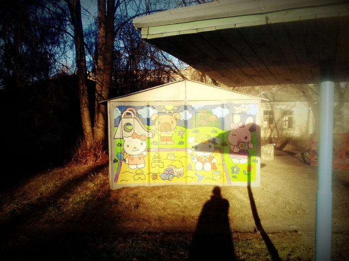 Забавные картинки