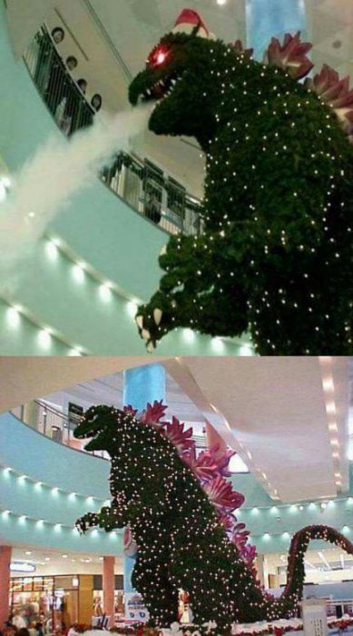 Забавные картинки