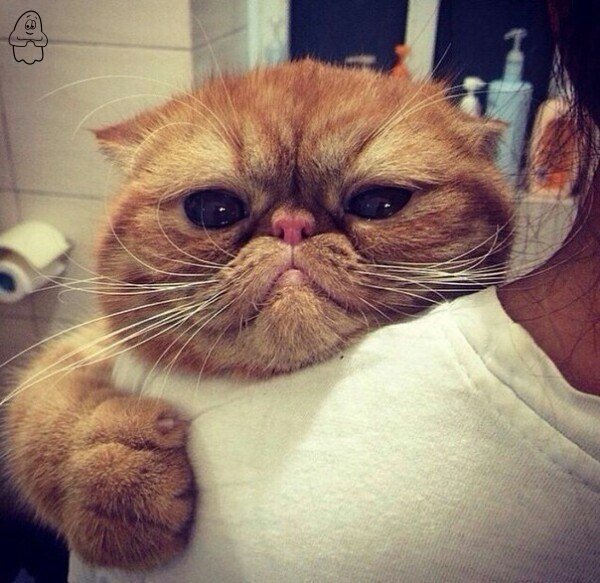 Странный юмор