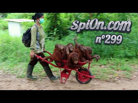 Le Zap de Spi0n n°299