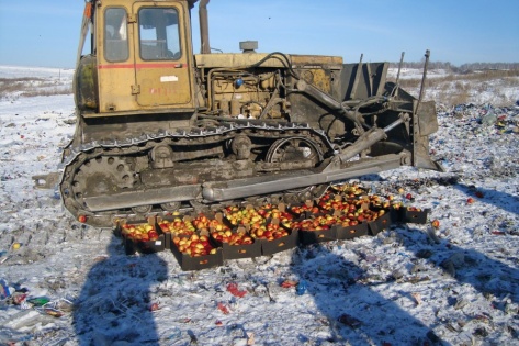 В Красноярске польские яблоки снова попали под бульдозер