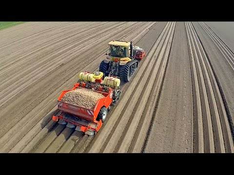 Механическое порно: как сажают картофель в Голландии