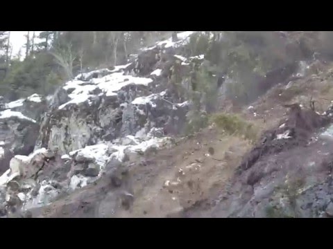 Дурак или бессмертный?