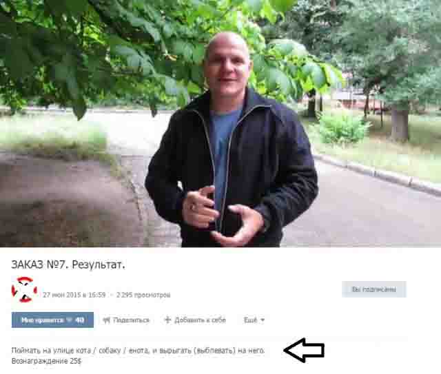 Издевается над котёнком, за деньги