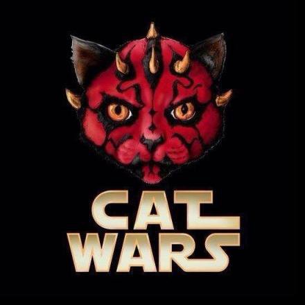 Набор изображений на разные темы 